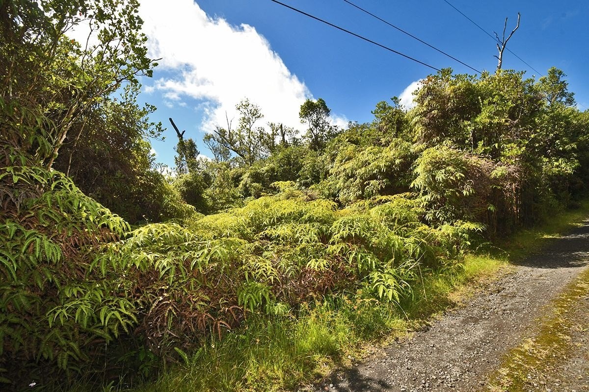11-1863 Kolea Street Mountain View, HI 96771 - Photo 16 of 16 a backyard of a house with lots of green space