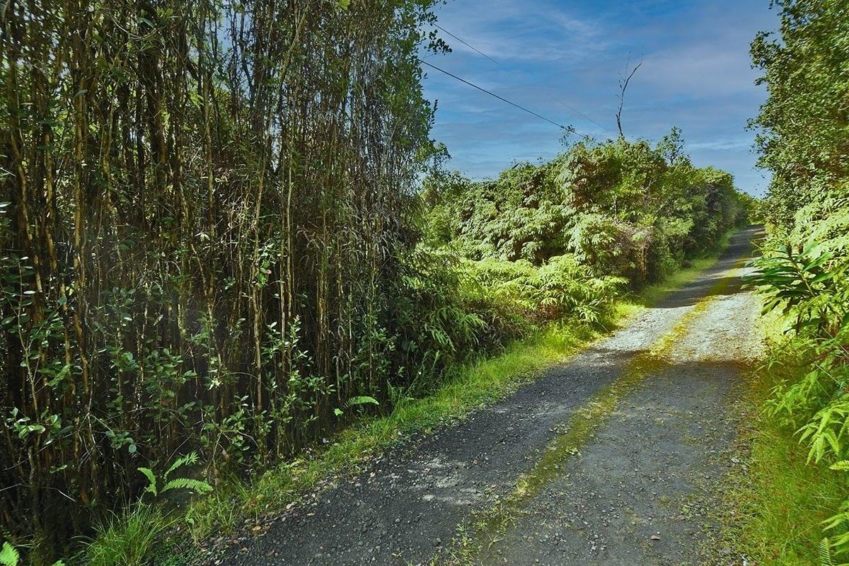 11-1863 Kolea Street Mountain View, HI 96771 - Photo 2 of 16 a view of a garden