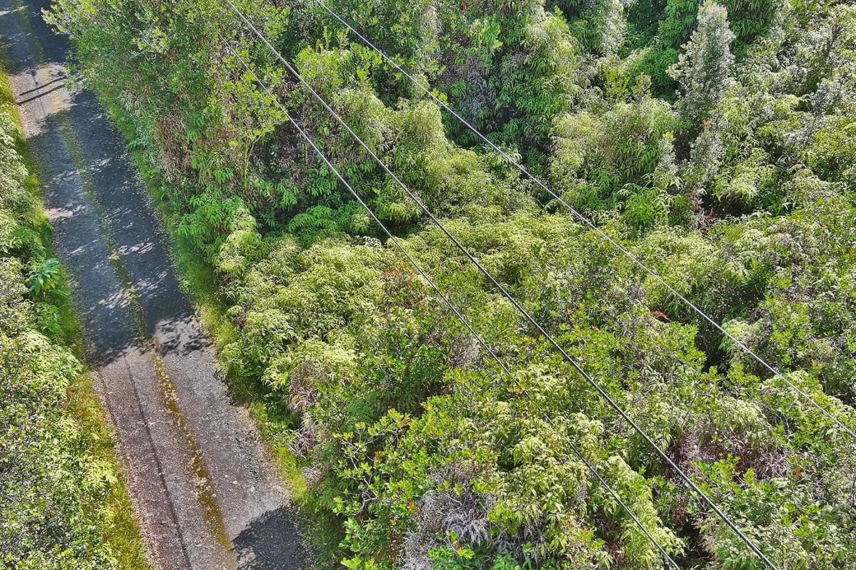 11-1863 Kolea Street Mountain View, HI 96771 - Photo 4 of 16 a view of a garden with a tree