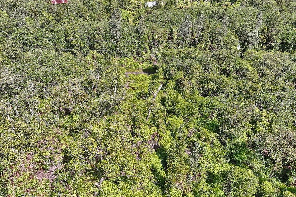 11-1863 Kolea Street Mountain View, HI 96771 - Photo 8 of 16 a view of a lush green field