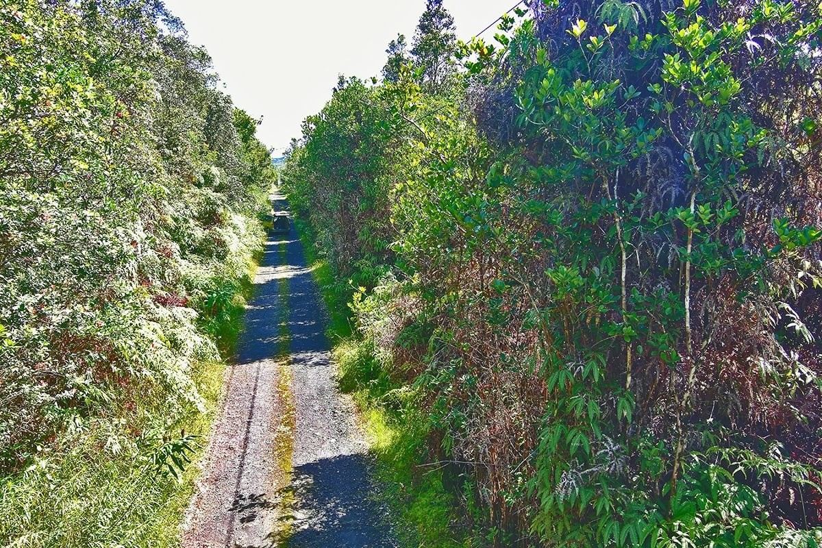 11-1863 Kolea Street Mountain View, HI 96771 - Photo 10 of 16 a aerial view of a house with a yard