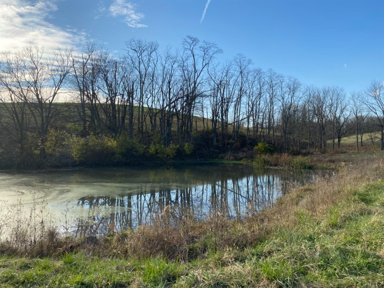 591 Rockridge Road Paris, KY 40361 - Photo 39 of 61 Photo 40