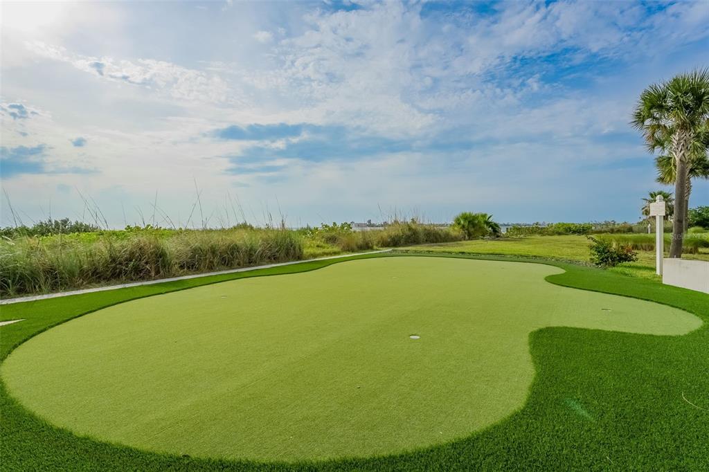 795 Collany Road, Unit 201 Tierra Verde, FL 33715 - Photo 69 of 73 Gallery Image 69