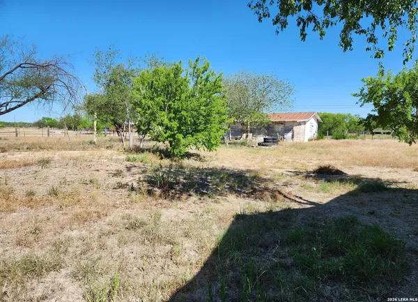 a view of a yard with a tree