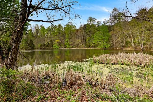 $625,000 | 905 County Road 655, Athens, TN 37303