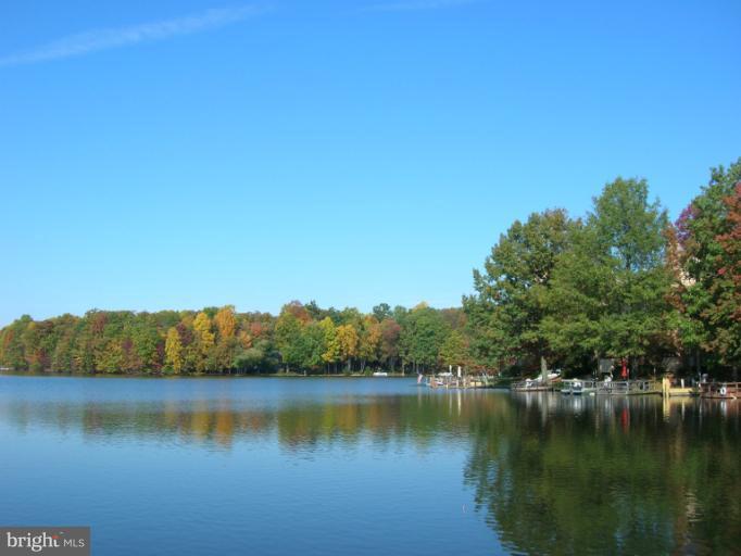 1936 Villaridge Drive, Unit B Reston, VA 20191 - Photo 11 of 22 Community Lake