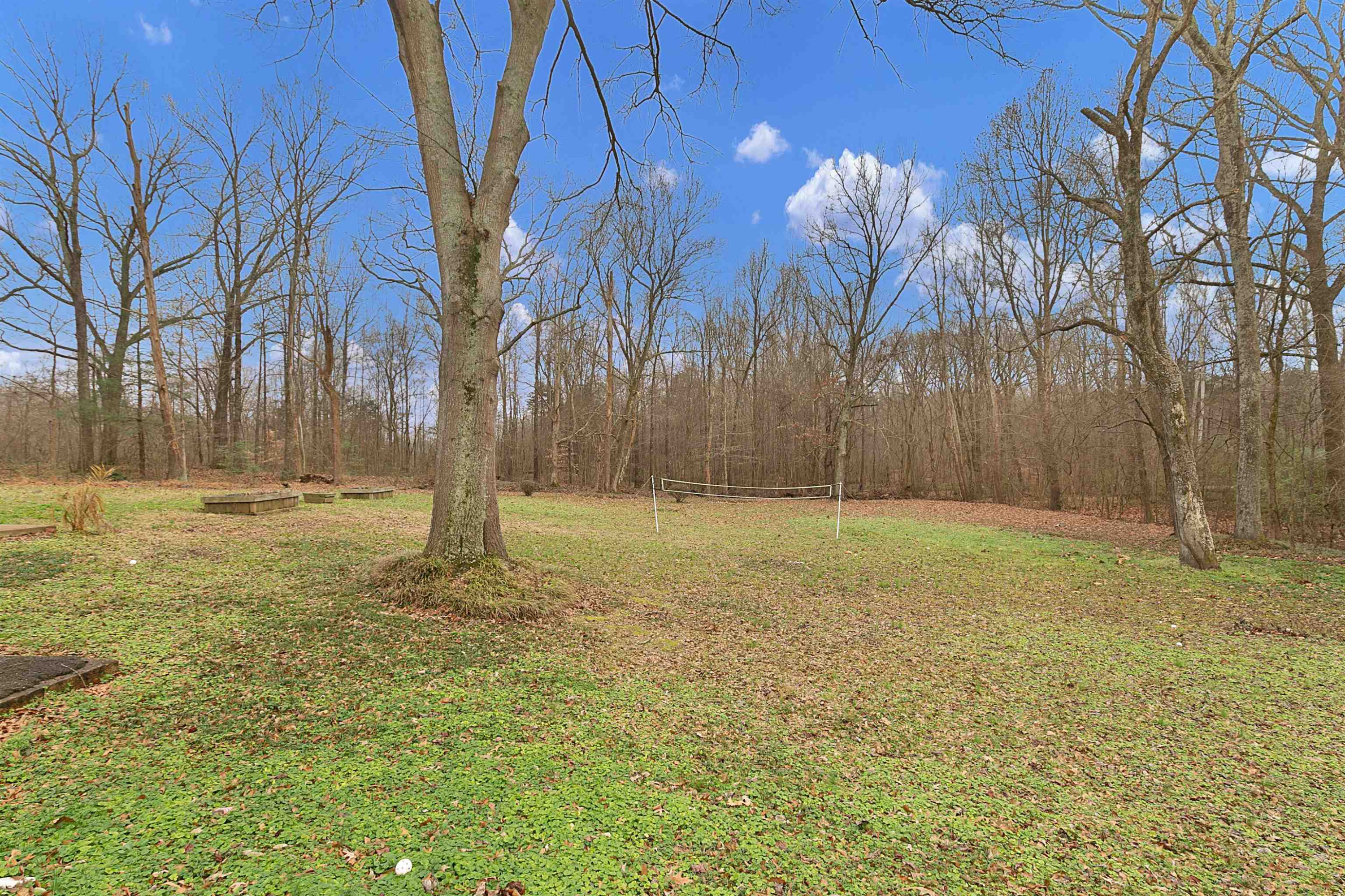 105 Pepper Tree Road Jackson, TN 38305 - Photo 2 of 18 Photo 2