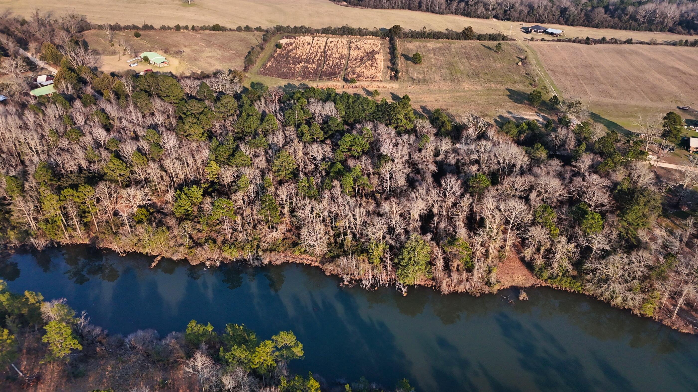 7189 Sherman Kennedy Road Baker, FL 32531 - Photo 2 of 29 a view of a yard