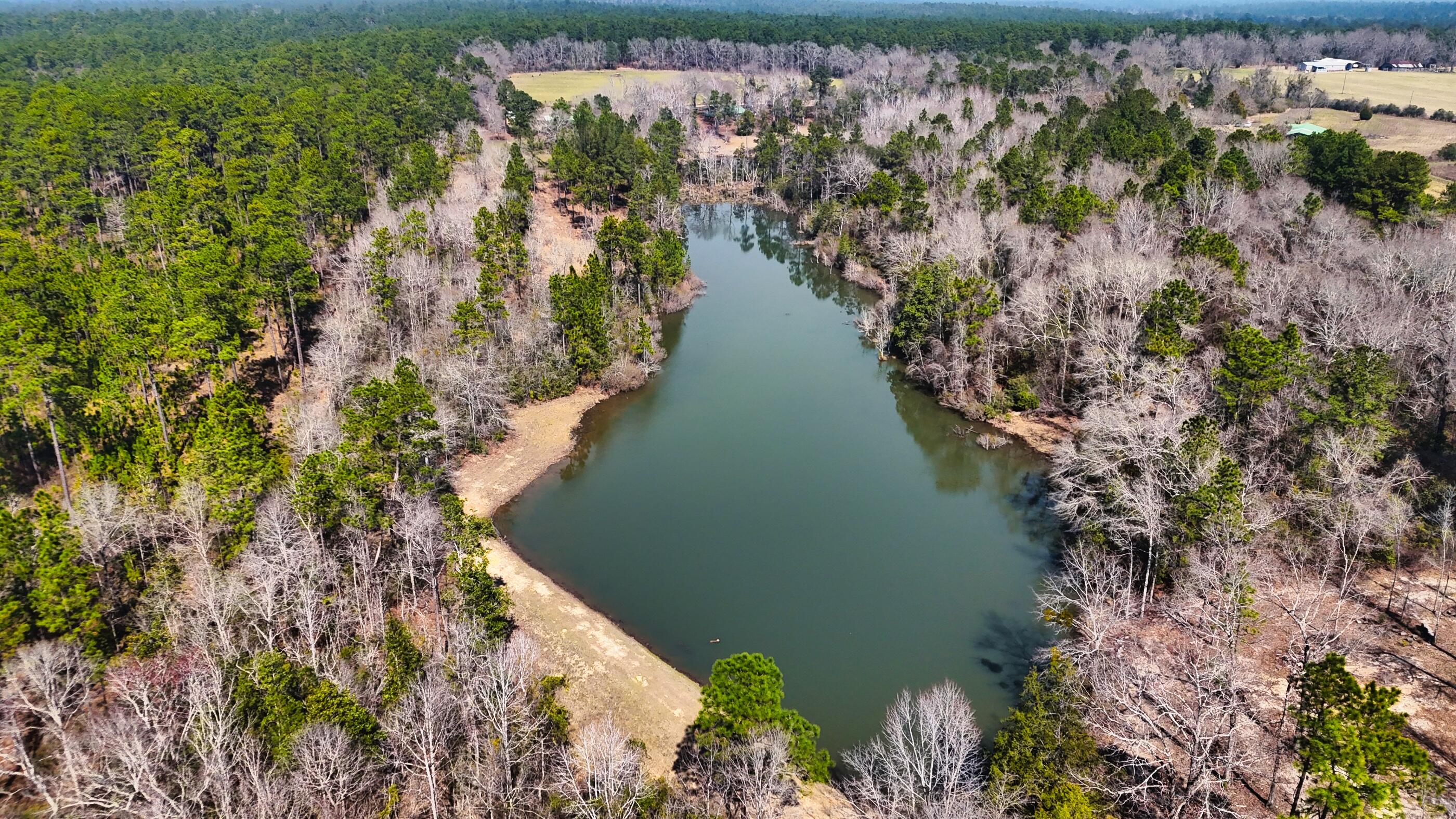 7189 Sherman Kennedy Road Baker, FL 32531 - Photo 27 of 29 a view of a lake with a lake