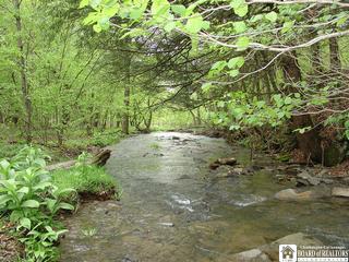 Phillips Brook Road Frewsburg, NY 14738 - Photo 1 of 1