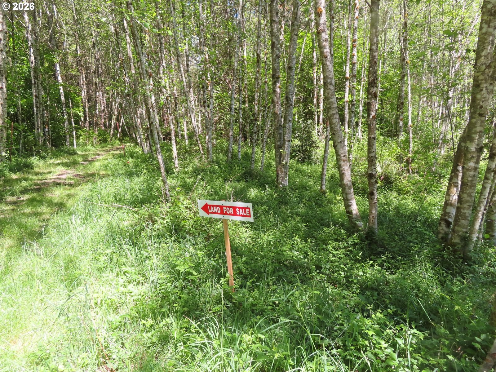 Hockett Road Onalaska, WA 98570 - Photo 29 of 29