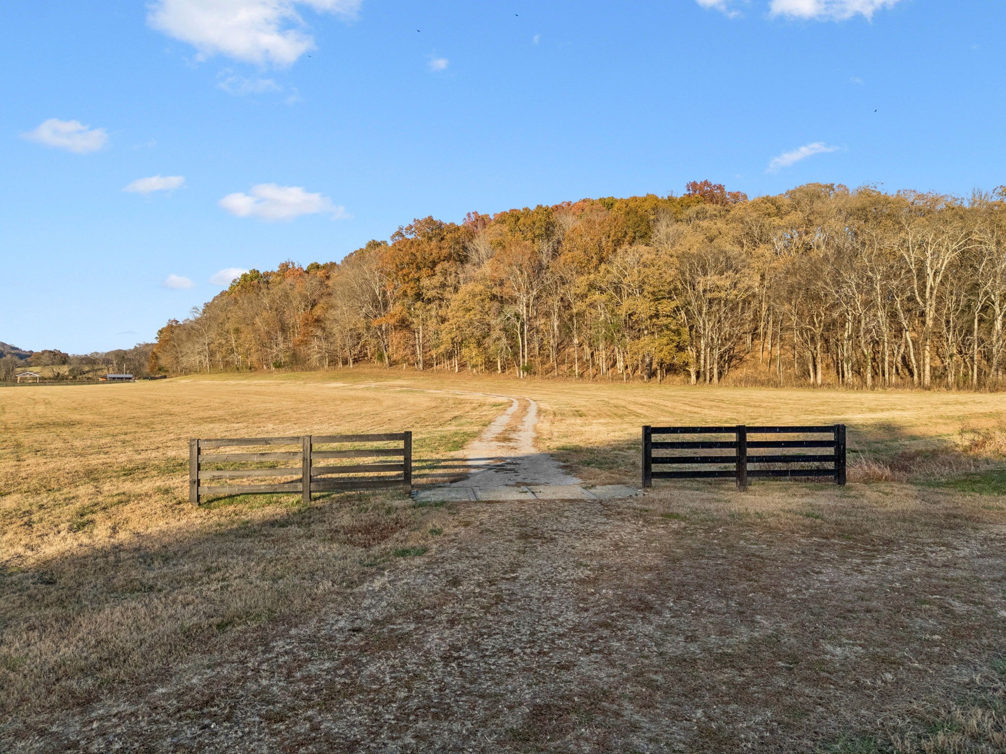 935 Leatherwood Creek Road Pulaski, TN 38478 - Photo 23 of 36 a view of a terrace with mountain view
