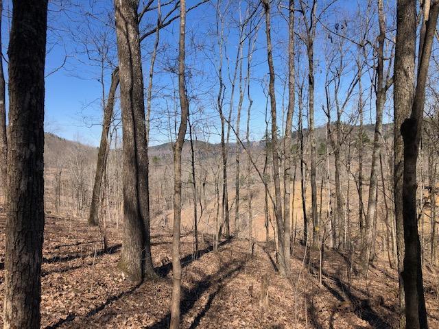 Dugan Loop Beautiful Ridges