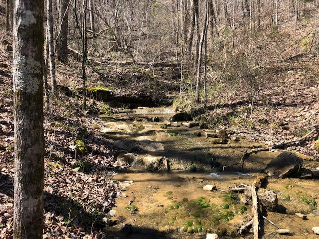Dugan Loop Stream #9