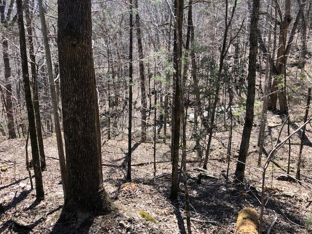 0 Dugan Loop Trenton, GA 30752 - Photo 12 of 16 Dugab Loop Listing 2020 #2