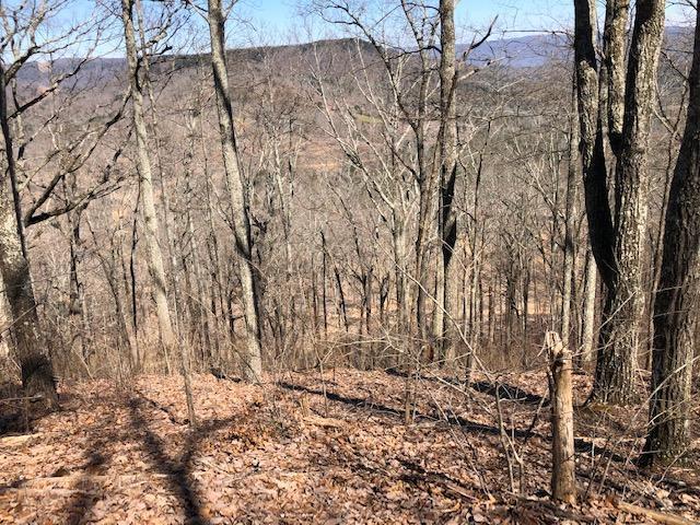 0 Dugan Loop Trenton, GA 30752 - Photo 16 of 16 Dugan Loop Ridges 2