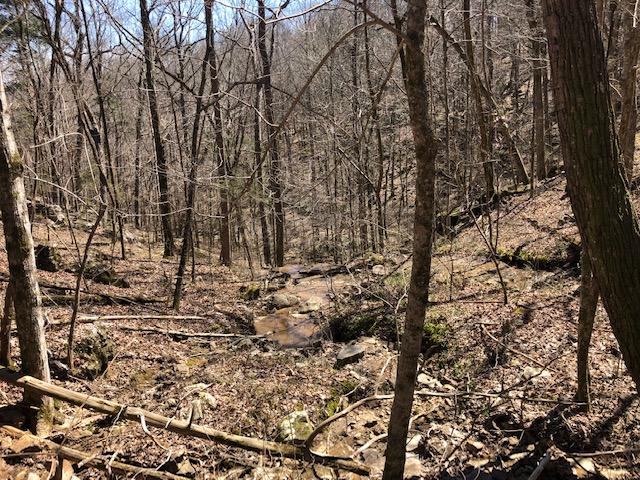 Dugan Loop # 7 Stream