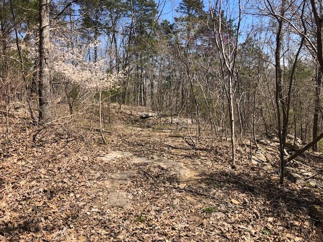 0 Dugan Loop Trenton, GA 30752 - Photo 10 of 16 Dugan Loop Listing 2020 #4