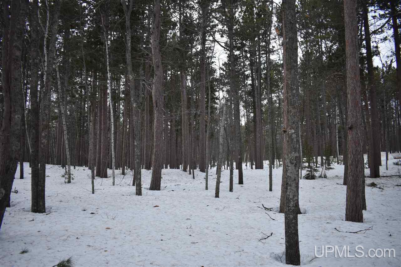 180 Co Road Negaunee, MI 49866 - Photo 13 of 50