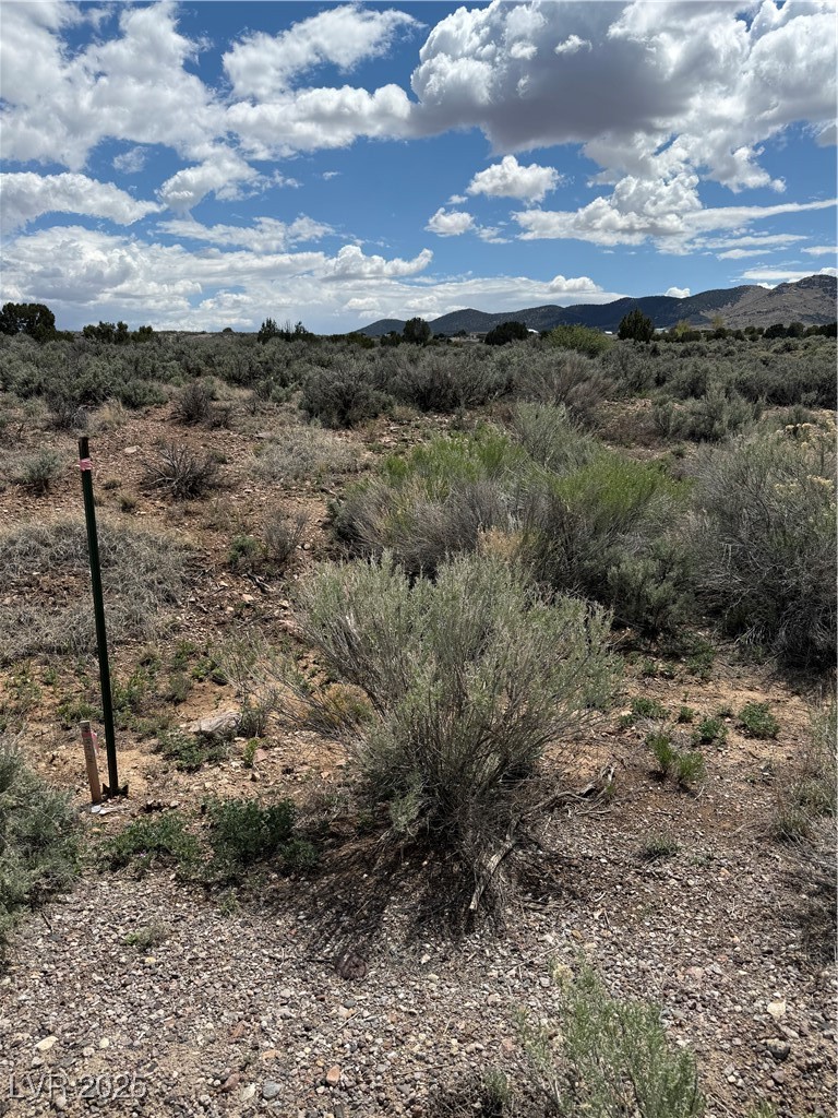 Hickory Pioche, NV 89043 - Photo 11 of 18 View of mountain backdrop