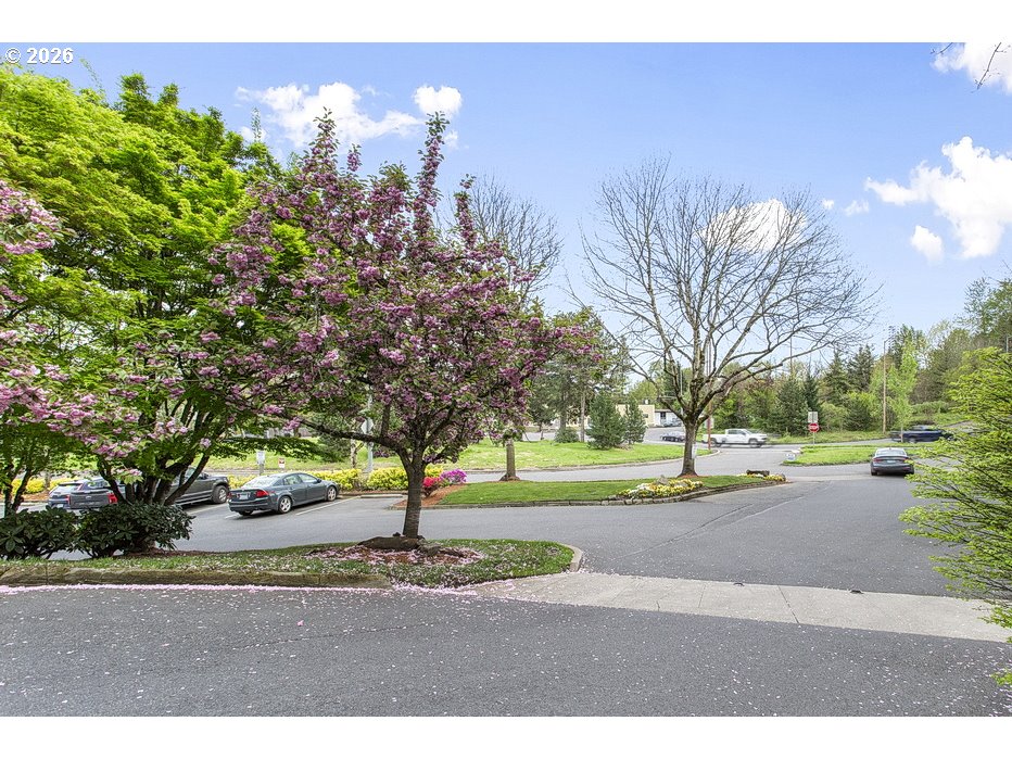 622 South Nevada Street, Unit D Portland, OR 97219 - Photo 36 of 37 a view of a park with large trees