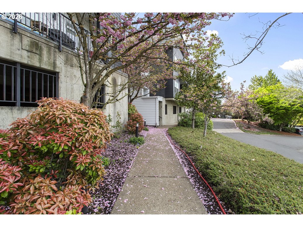 622 South Nevada Street, Unit D Portland, OR 97219 - Photo 37 of 37 a view of a backyard with large trees