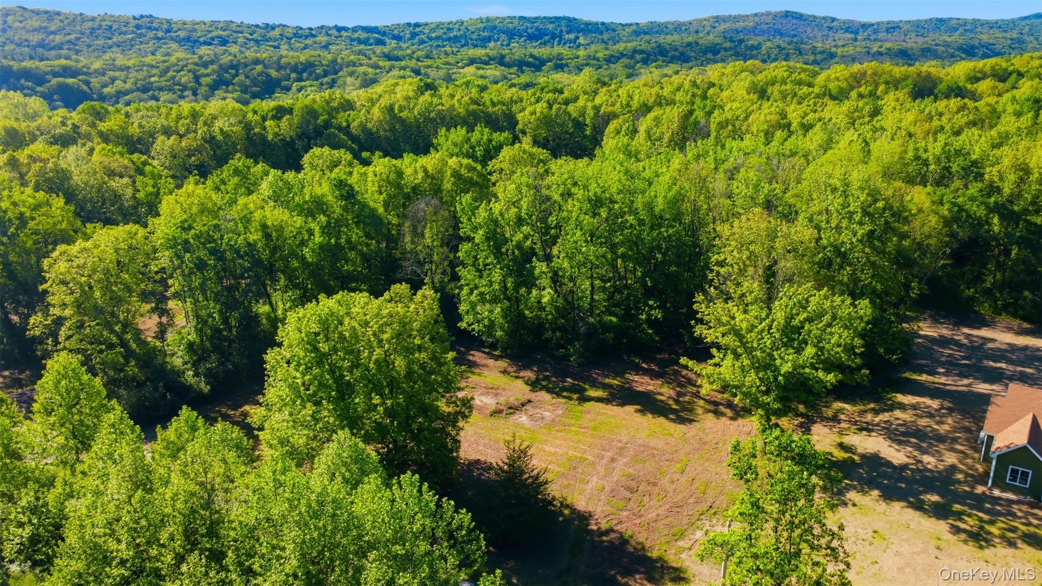 238 Bruceville Road High Falls, NY 12440 - Photo 2 of 15