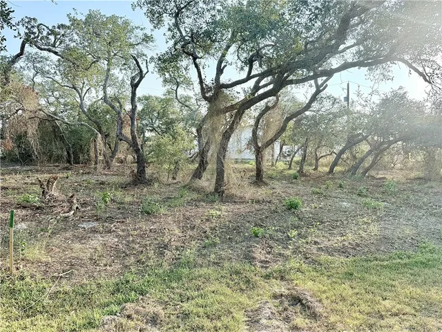 a view of dirt yard with a tree