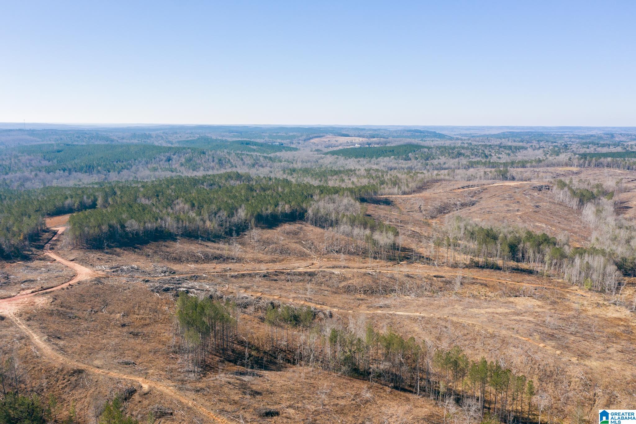 0 Harless Road Northport, AL 35475 - Photo 31 of 34