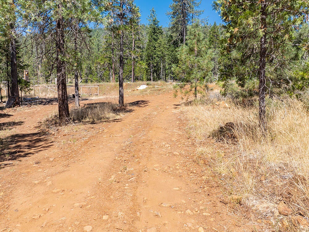 650 Gold Canyon Road Selma, OR 97538 - Photo 27 of 47 30