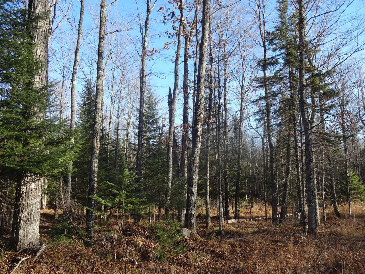 Near Near Net River Road Crystal Falls, MI 49920 - Photo 3 of 4 Gallery Image 3