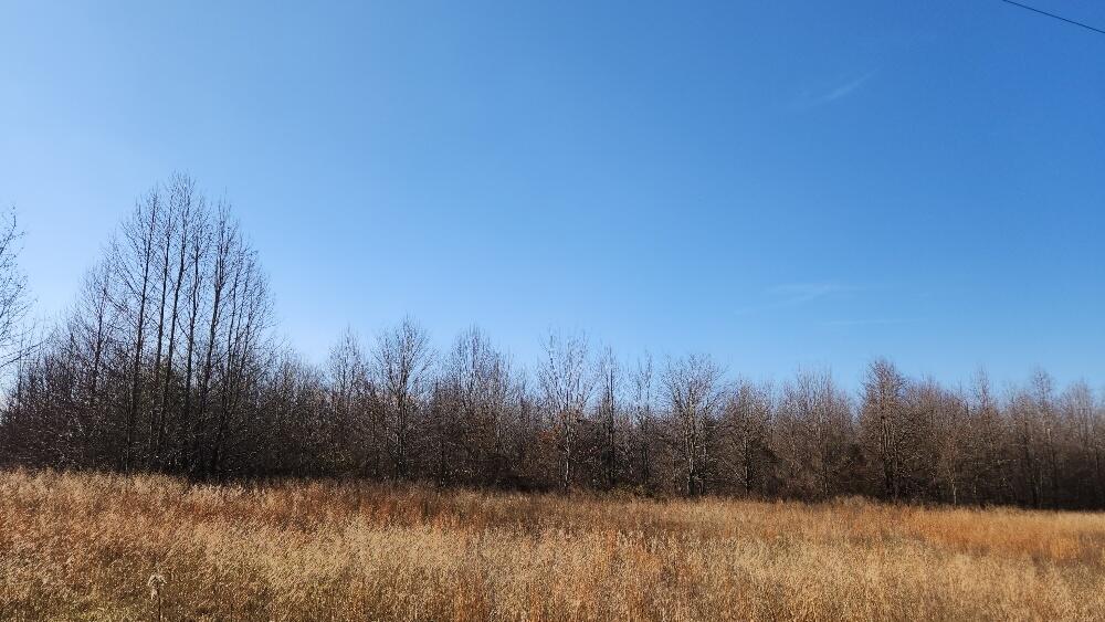 805 Joe Grove Road Pikeville, TN 37367 - Photo 3 of 4 20260107_123848_resized