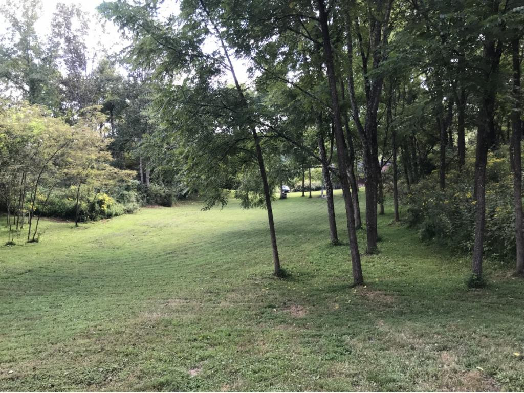 287 Toll Branch Road Johnson City, TN 37601 - Photo 5 of 7 Photo 5