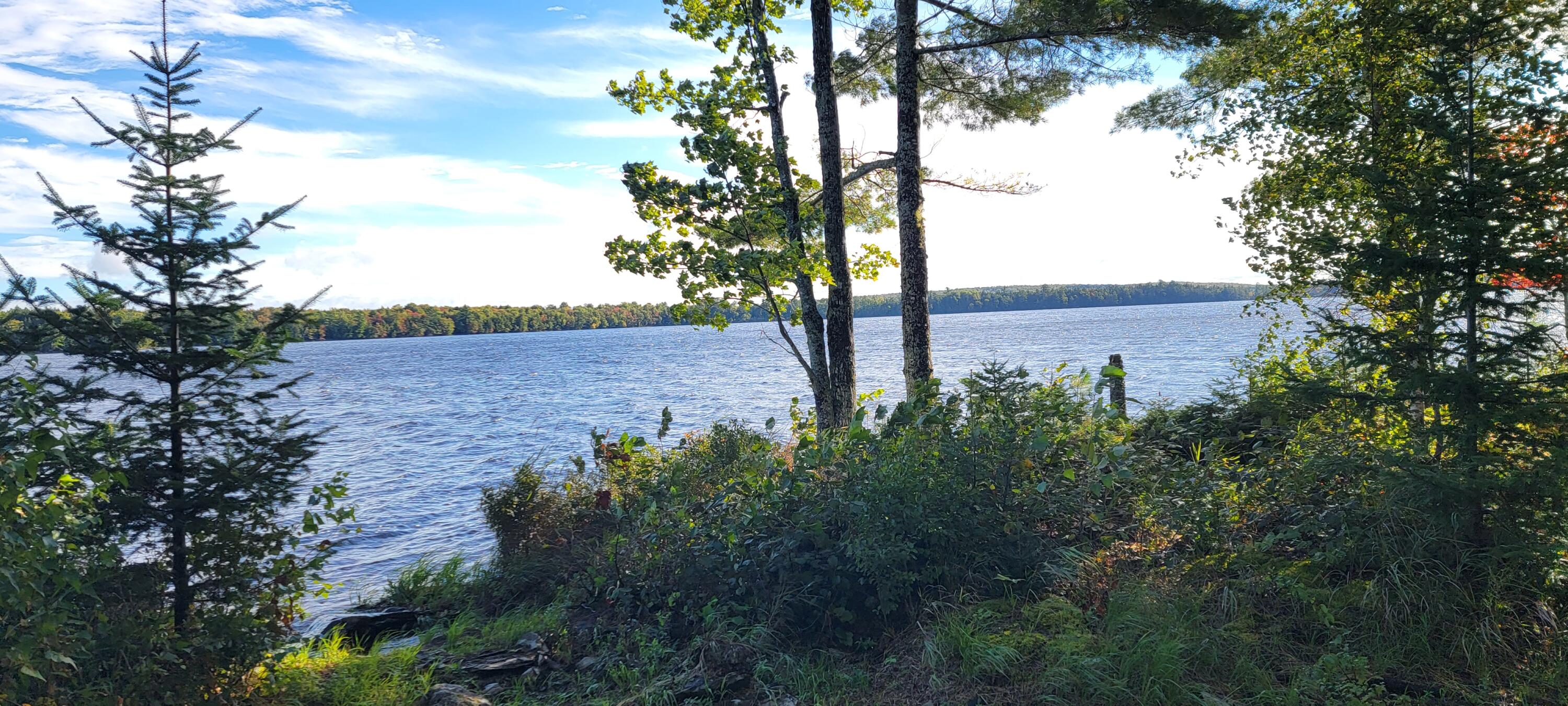 120 Picnic Point Road Brookton, ME 04413 - Photo 10 of 73 20220923_084110