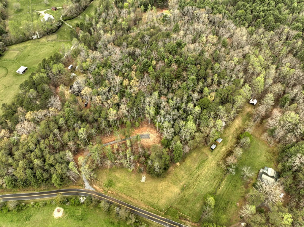 9.13-ac Hells Hollow Road Blue Ridge, GA 30513 - Photo 11 of 59 Gallery Image 11