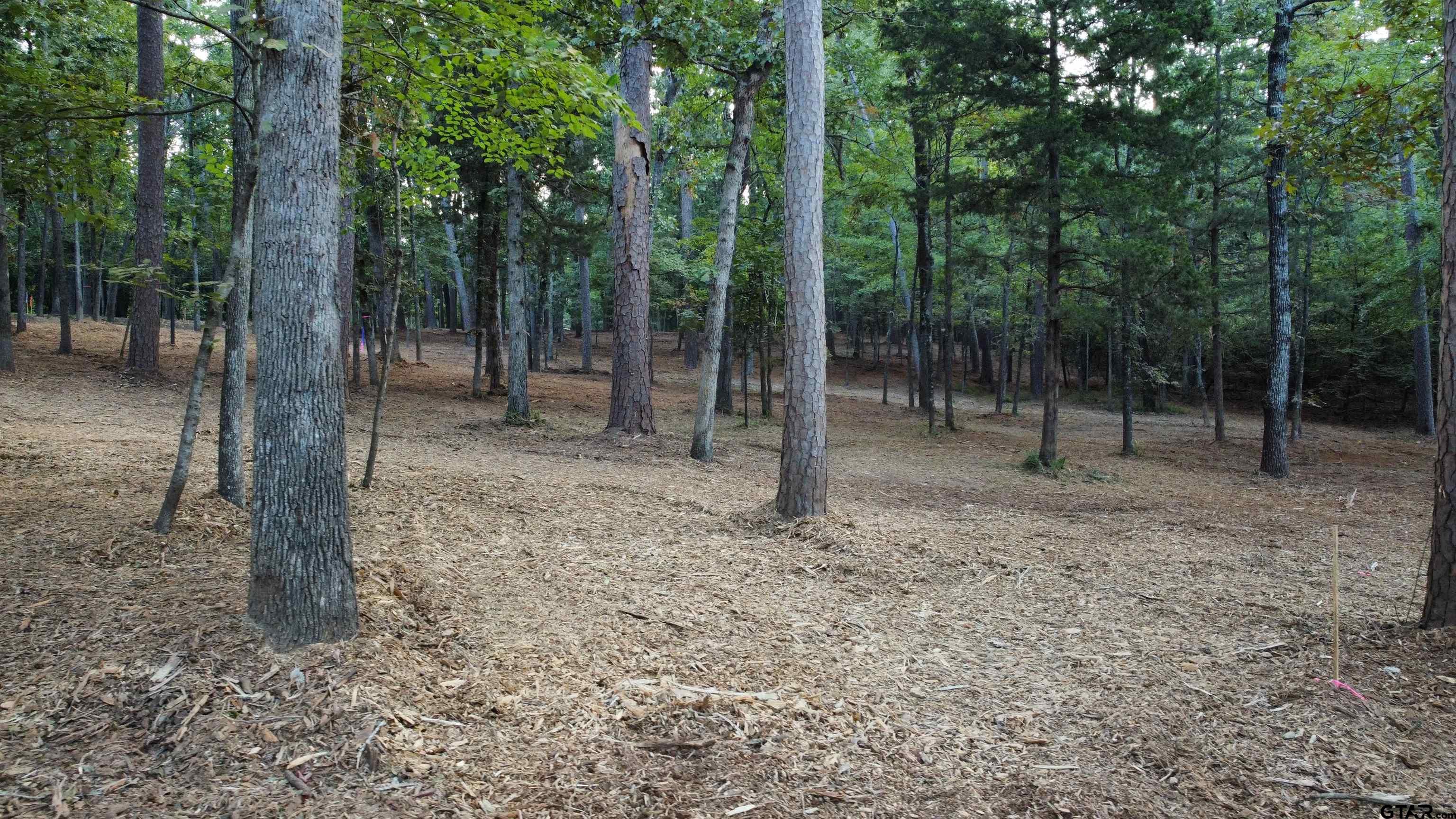 Lot 20 Eastside Road Tyler, TX 75707 - Photo 48 of 48 Gallery Image 48