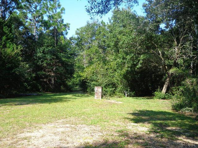 5085 Pine Berry Road Milton, FL 32583 - Photo 3 of 40 Gallery Image 3