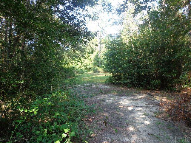 5085 Pine Berry Road Milton, FL 32583 - Photo 34 of 40 Gallery Image 34