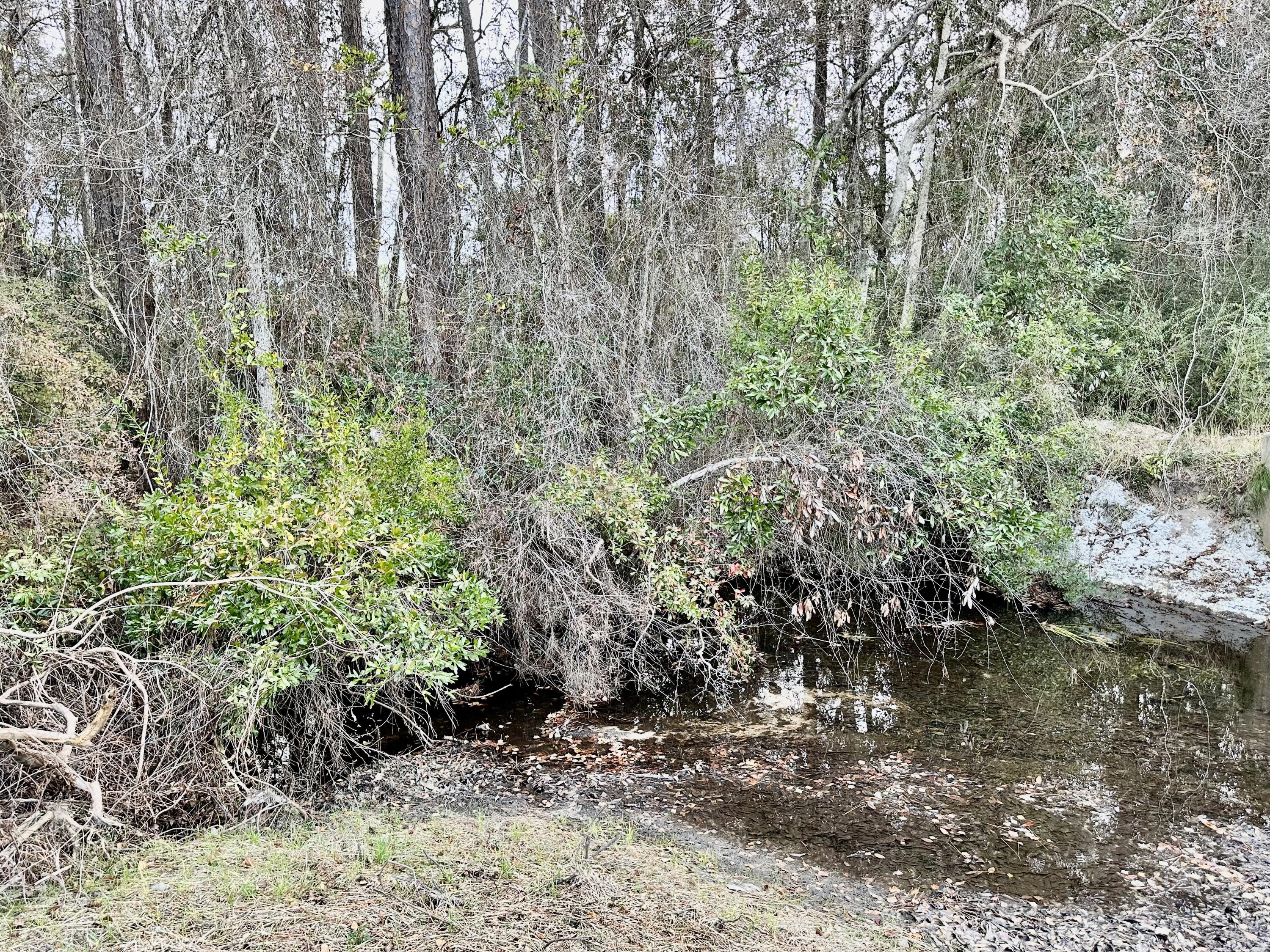 39.5-acres Spradlin Road DeFuniak Springs, FL 32433 - Photo 16 of 24 IMG_8343