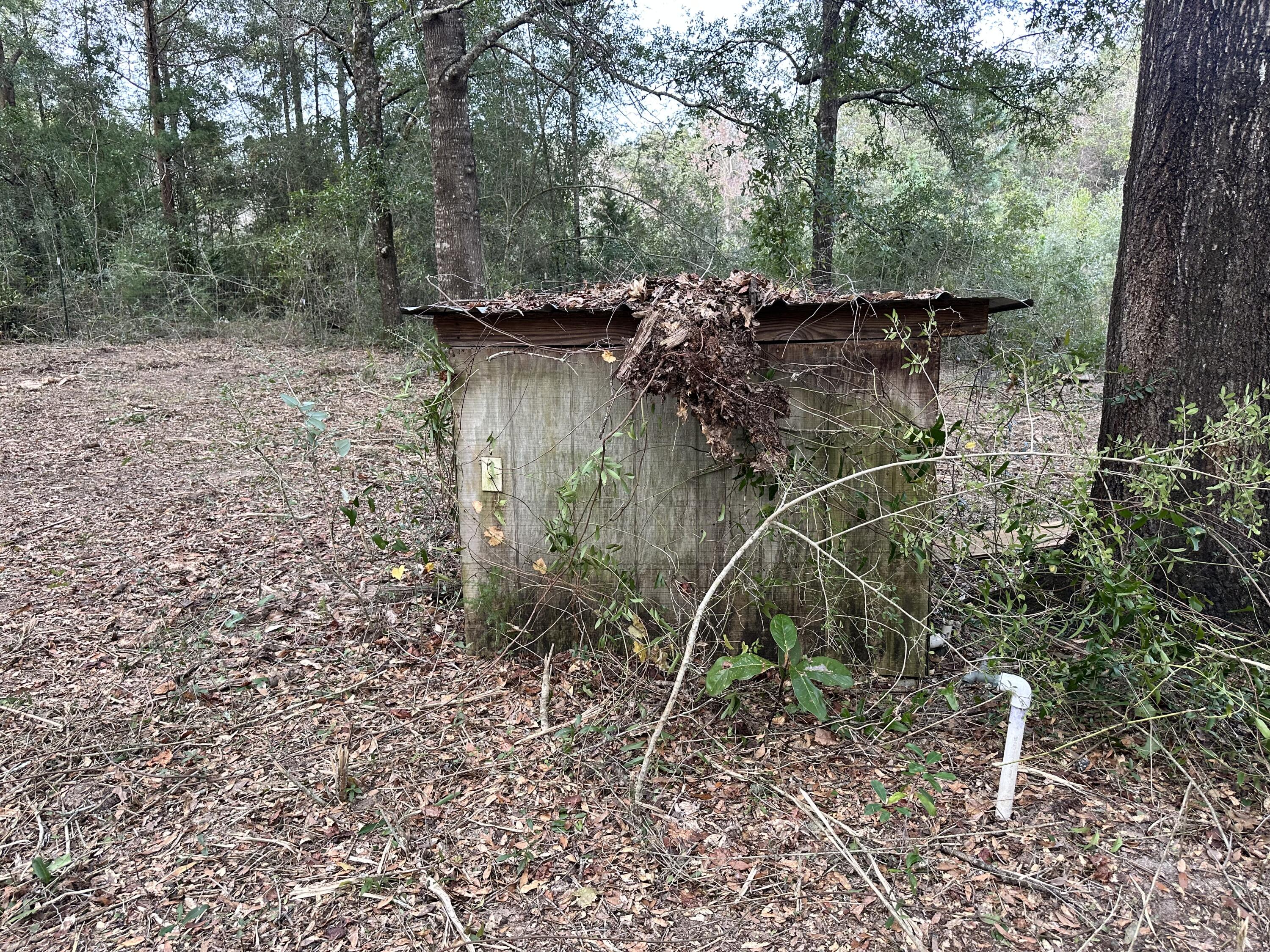 39.5-acres Spradlin Road DeFuniak Springs, FL 32433 - Photo 23 of 24 IMG_8341