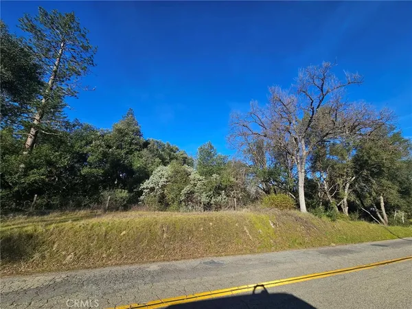 a view of a yard with basketball court