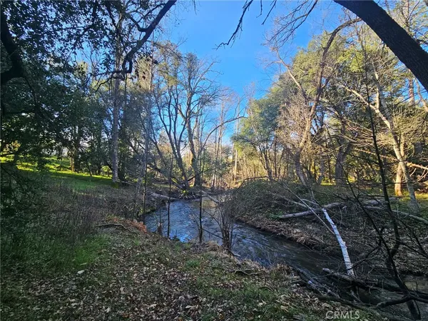 a view of backyard with green space