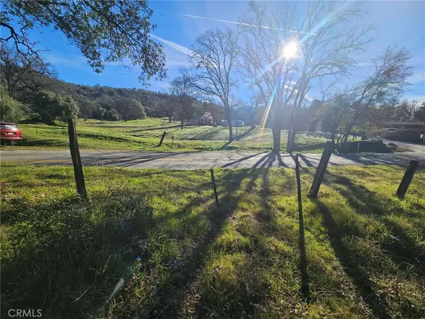 a view of a park with large trees