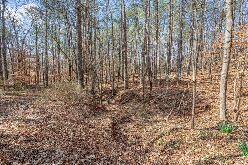 3743 Johnston Road Winston, GA 30187 - Photo 53 of 55