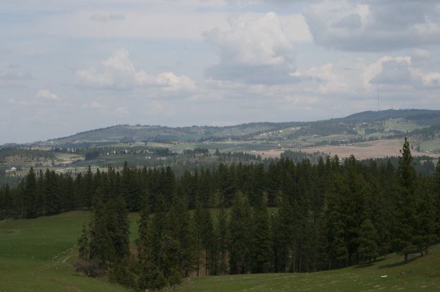 0 Stentz Road, Unit LOT 3 Spangle, WA 99031 - Photo 3 of 4