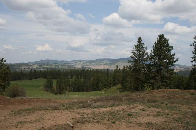 0 Stentz Road, Unit LOT 3 Spangle, WA 99031 - Photo 4 of 4