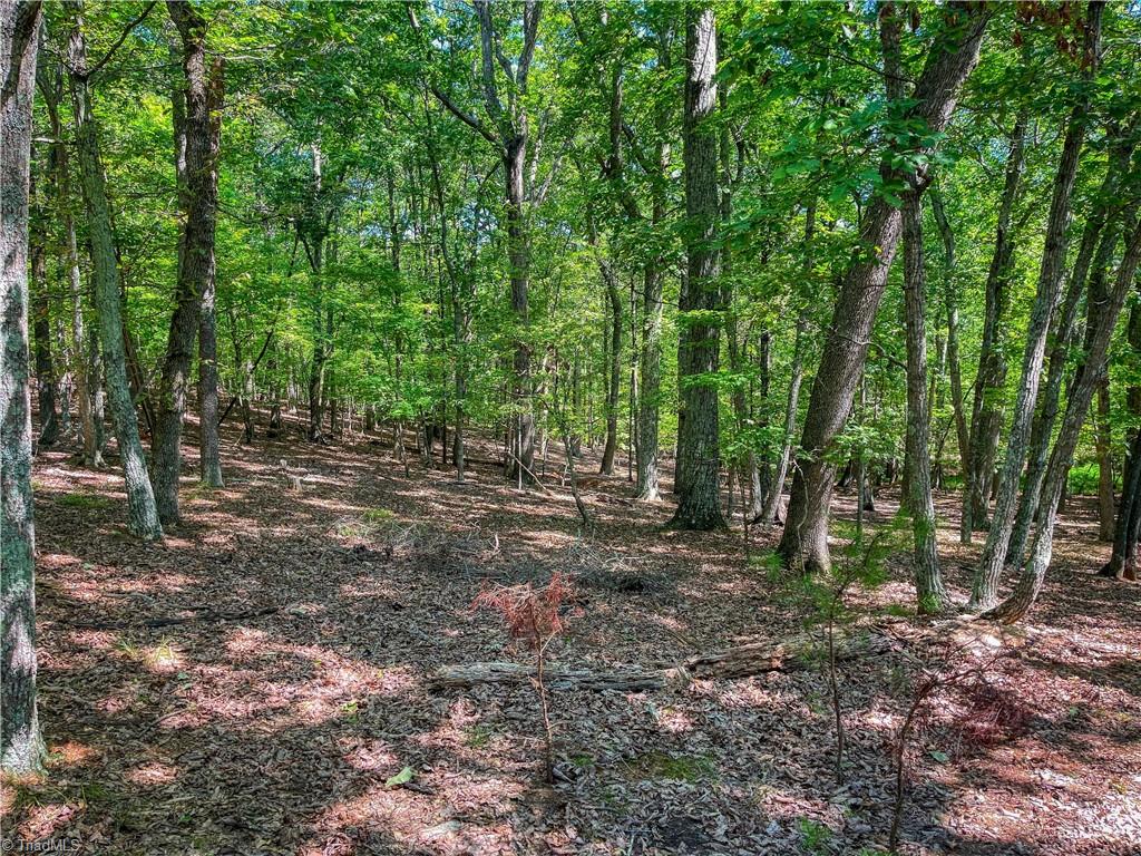 805 Sierra Trace Road Denton, NC 27239 - Photo 6 of 37