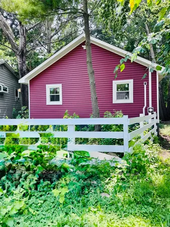 a view of a yard in front of a house with plants and large tree
