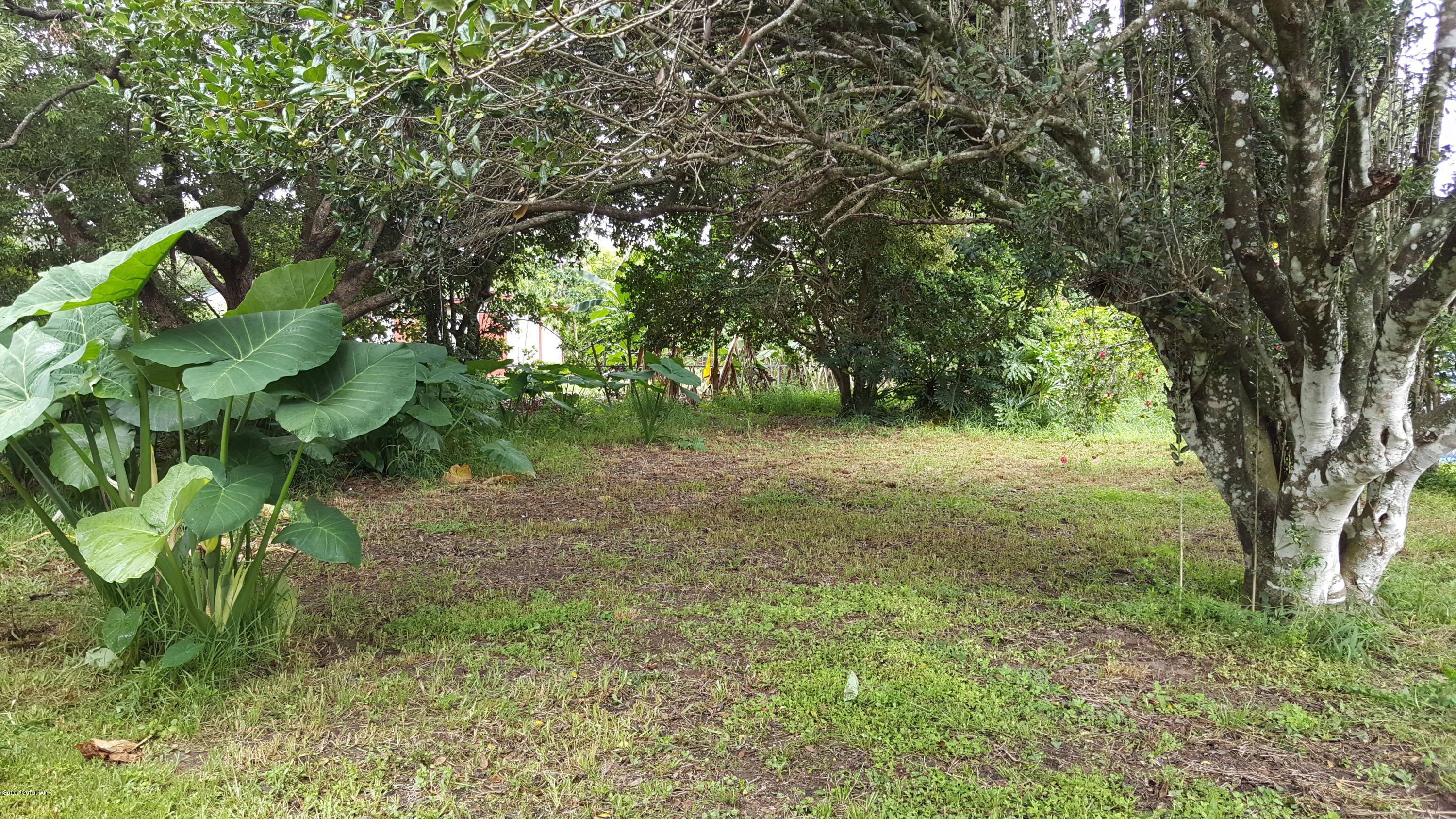 2509 Gulfstream Road, Unit 1 Orlando, FL 32805 - Photo 45 of 48 back yard