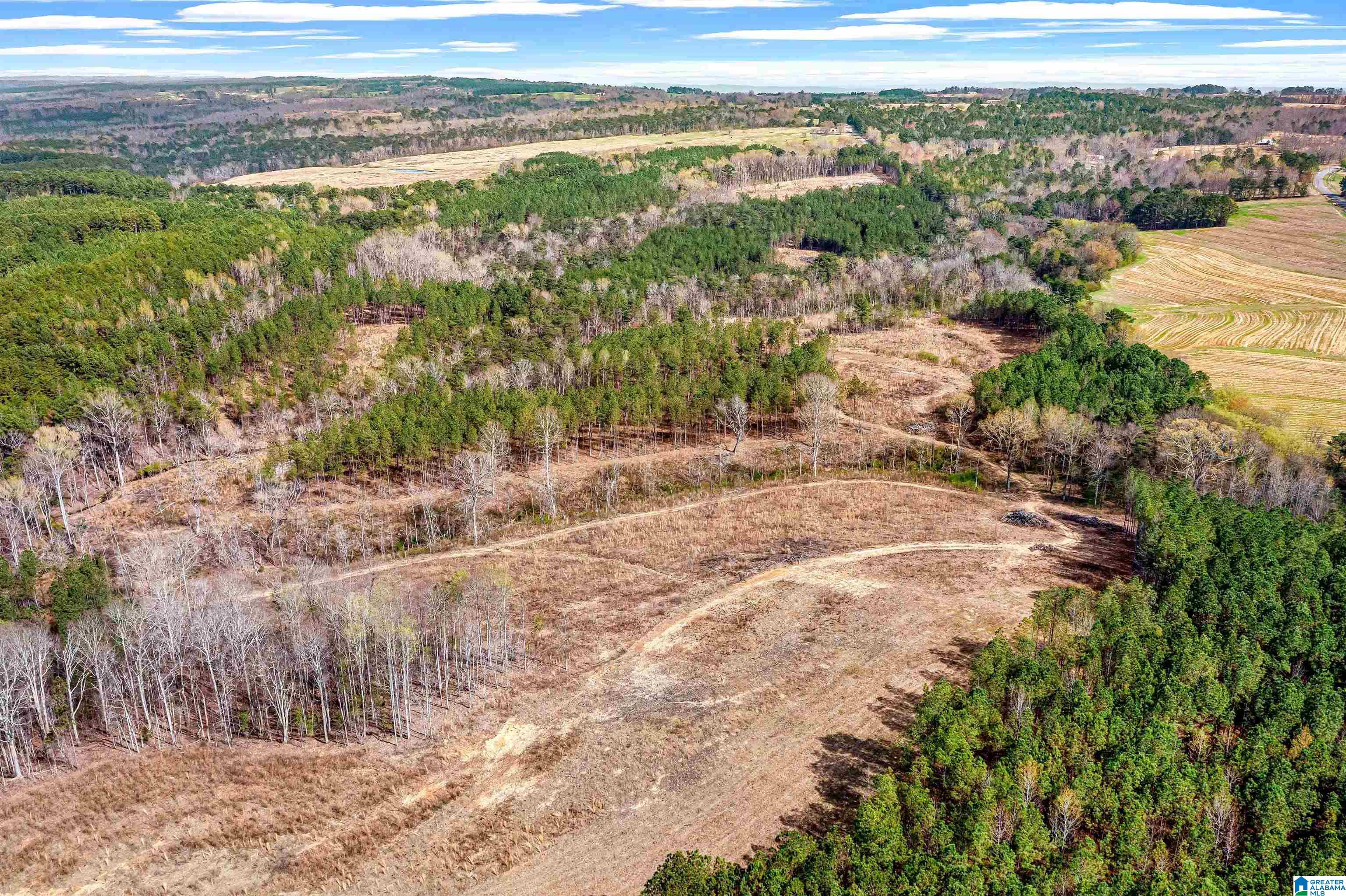 0 Frost Road, Unit 100 / ACRES Springville, AL 35146 - Photo 55 of 60